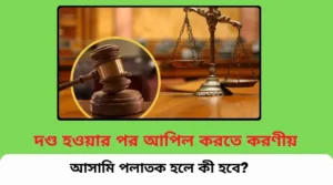 “দণ্ড হওয়ার পর আপিলের নিয়ম ও পলাতক আসামির আত্মসমর্পণ প্রক্রিয়া – বাংলাদেশি আইনগত গাইড”